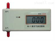 BXS08-BS-Y数字气体流量计 气体流量测定仪 数字气体流量测试仪